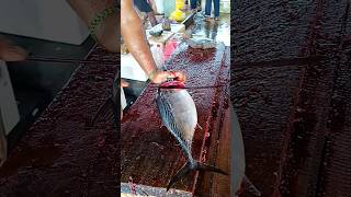 Unbelievable tun fish cutting skill 😱 fastest cutting skill [upl. by Gay]