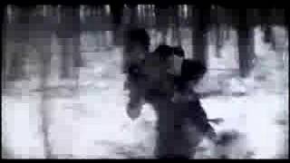 The Sword  Winters Wolves OFFICIAL VIDEO [upl. by Gelya]