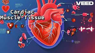 Cardiac Muscle Tissue  The Heart of the Matter [upl. by Ajin434]