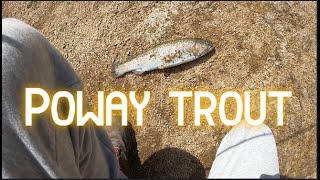 Lake Poway trout fishing 2022 [upl. by Aliuqaj]