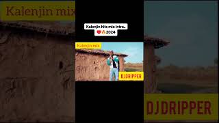 BEST OF KALENJIN HIT SONGS 2024 💖🔥 newhitsong dj kalenjinlatestmusic kalenjin Deejaydripper [upl. by Acinehs]