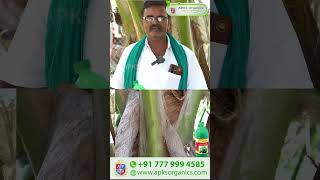 Tamil  Coconut Online Farmer MrAnbalakan giving feedback about our Cocomax result [upl. by So]