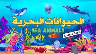 الحيوانات البحرية Alhayawanat albahria  Sea Animals Name in Arabic amp English [upl. by Hepsoj575]