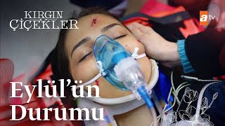 Arama kurtarma çalışmaları sonucu Eylül bulunuyor  Kırgın Çiçekler 81 Bölüm [upl. by Brianne497]