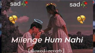 Milega Hum Nahi lofi song  mere Jaise to milenge milenge ham nahinviral songs [upl. by Allebasi]