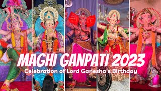 Maghi Ganesh Jayanti 2023 Darshan  Celebration of Lord Ganeshas Birthday  Mumbai Cha Ganpati [upl. by Yretsym]