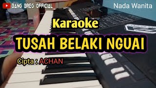 Karaoke ✓ Tusah Belaki Nguai  Nada wanita  lagu dayak iban  Bang Breg Official [upl. by Elrebmik]