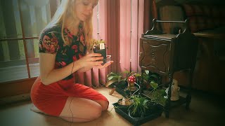 Soft Spoken Houseplant Tour ASMR [upl. by Esilec]