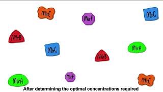 MicrocystinLR breakdown with synthetic enzymes [upl. by Ennirroc]