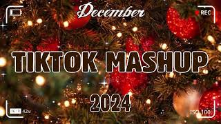 TikTok Mashup December 🎄2024🎄 Not Clean [upl. by Iy398]