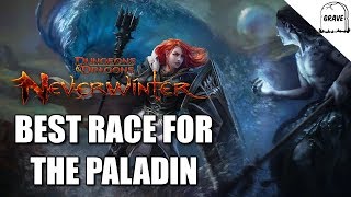 PS4 Neverwinter Best Race For The Paladin [upl. by Eenel783]