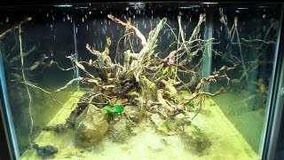 Island Paludarium 360°  DIY Climate Rain System HD  2013 [upl. by Bunny483]