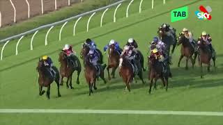 DOOMBEN CUP PREVIEW  MICHAEL MAXWORTHY [upl. by Brittaney404]