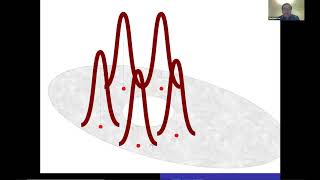 Desingularization of vortices and Leapfrogging phenomenon for Euler flows [upl. by Shipman]