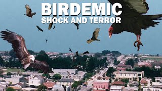 Birdemic Shock and Terror 2010 Carnage Count [upl. by Alake]