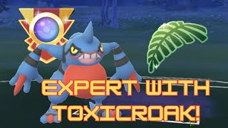 Hitting Expert and destroying Vigoroth with Toxicroak in the Jungle Cup  Go Battle League [upl. by Sunderland]