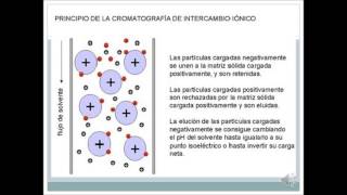 cromatografia de intercambio ionico [upl. by Nahtnaoj]