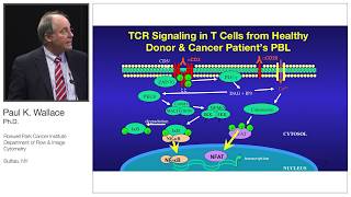 Paul Wallace  AAI  Exosomes Present in Human Ovarian Tumor Microenvironment Rapidly Arrest T Cells [upl. by Roice553]