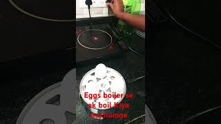 The boiler se egg boil [upl. by Truk185]