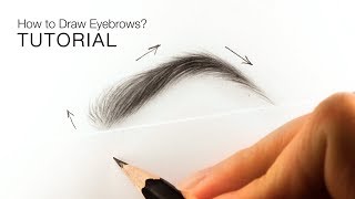 How to draw realistic eyebrows for BEGINNERS  EASY TUTORIAL [upl. by Enailuj428]