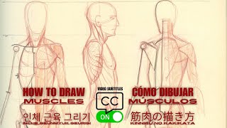 How to Draw Muscles A Figure Drawing Foundation Course extract [upl. by Anirbes]