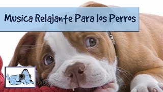 Relajacion total para perros mira como funciona ponlo a prueba y disfrutalo [upl. by Leahcimrej]