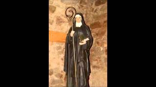 Hildegard von Bingen  O Rubor SanguinisFavius Distillans Sequentia [upl. by Elyrehc]