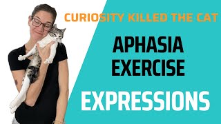 Follow Along Speech Therapy for Aphasia  Expression Completion [upl. by Anelat]