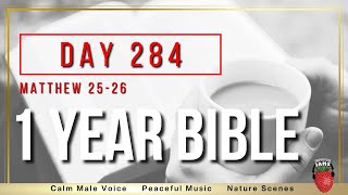 Day 284  Matthew Chapters 2526  NIV  One Year Bible [upl. by Acinod349]