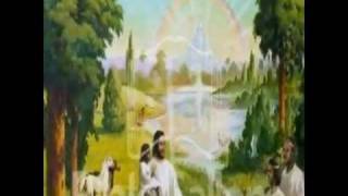 SDA Afaan Oromo Song By Girmayye Bmp4 [upl. by Lukasz257]