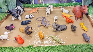 Muddy Adventures with Farm amp Zoo Animals for Toddlers 🐮🦎 Learn Play amp Laugh with Amazing Animals [upl. by Marlette]