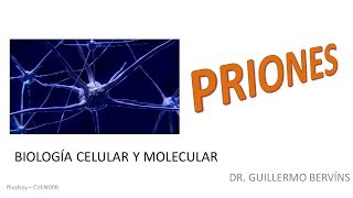 ¿Qué son los priones l Biología Celular y Molecular [upl. by Osyth283]