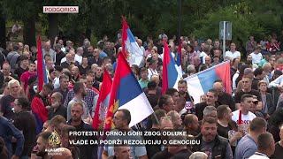 Protivnici rezolucije u Srebrenici protestovali pred zgradom Vlade Crne Gore [upl. by Ytsud57]