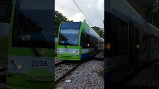 Trams at Beckenham Junction 8th October 2024 [upl. by Evania995]