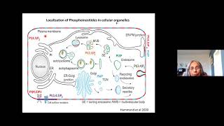 Courier Service for phosphatidylinositol PITPs deliver on demand  March 29th 2021 [upl. by Itirahc]