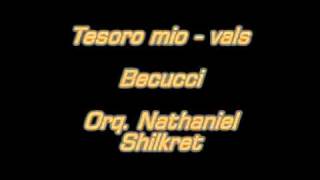 Tesoro mio  vals  Becucci  Orq Nathaniel Shilkretmpg [upl. by Nevuer]