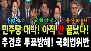 민주당 대박 아직 안 끝났다 정확한 지적추경호 국회법 위반 투표방해까지 [upl. by Akihsay]