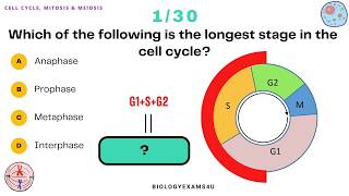 Cell Divison Mitosis and Meiosis Quiz Questions  30 Multiple Choice with Answers and Explanation [upl. by Roddie697]