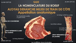 QUIZ ALOYAU DEHANCHE MILIEU DE TRAIN DE COTE [upl. by Gottwald871]