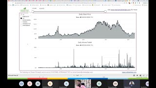 Financial Modeling Office Hour 45  Analysing Nigerian Breweries For Equity Investment [upl. by Hcaz459]