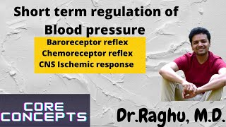 Baroreceptor amp Chemoreceptor reflex Regulation of Blood Pressure [upl. by Norbie]