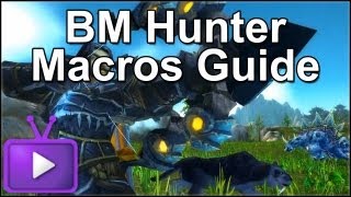 ★ WoW PvP  BM Hunter Macros Guide  One Shot Macro Included  Ft LoudsCast  WAY [upl. by Marika]