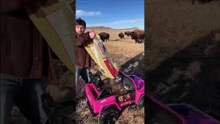 We decided to use the new truck to feed the herd 🛻🍎🦬 bison bisons animal daily animals bisons [upl. by Eire]