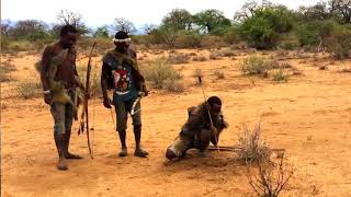 Hunting with the Hadzabe Tribe  CROOKED COMPASS [upl. by Charley]