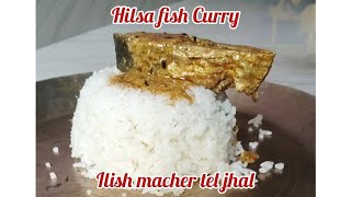 Hilsa fish curry  Ilish macher tel jhal  Bengali hilsa fish recipe ytshorts short food recipe [upl. by Esilrac476]