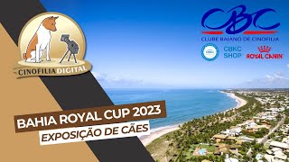 Bahia Royal Cup 2023  Exposição de cães  Cinofilia Digital [upl. by Elocel697]