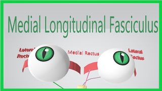 Medial Longitudinal Fasciculus Made Ridiculously Simple [upl. by Eiloj]