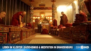 BUDDHISMUS amp MEDITATION  LEBEN IM BRANDENBURGER KLOSTER [upl. by Nwahsar]