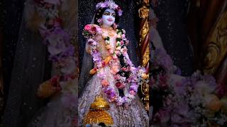 vrindavan me hukum chale barsane wali ka ।Radha Krishna।shorts shortsfeed ytshort radhakrishna [upl. by Richers]