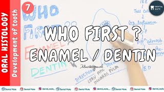 Enamel  Dentin  Sequence of formation  Dr Paridhi Agrawal [upl. by Rowe329]